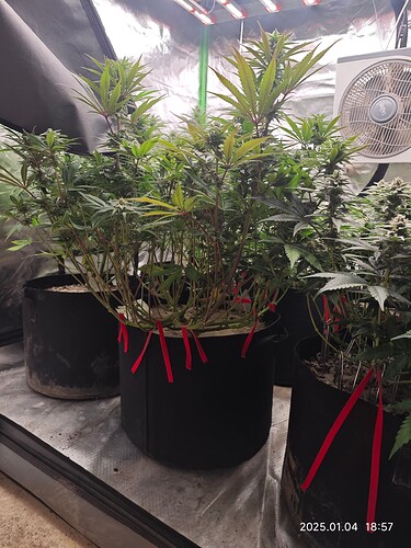 Growreport Bild 18