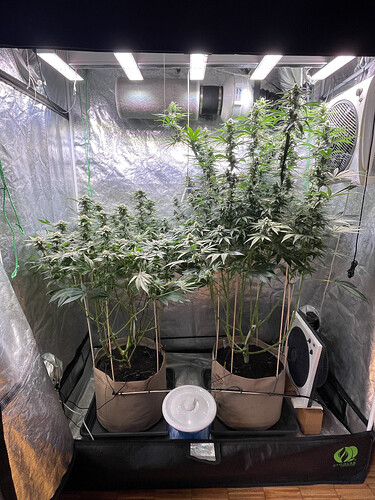Growreport Bild 1