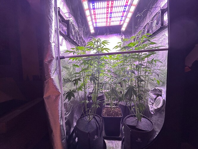 Growreport Bild 21