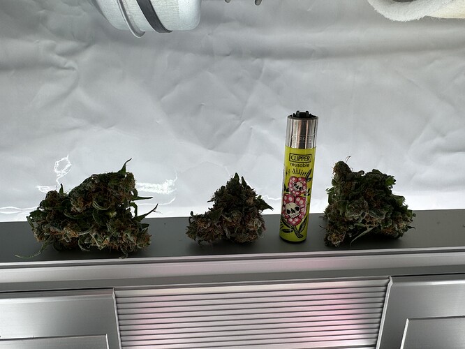 Growreport Bild 27