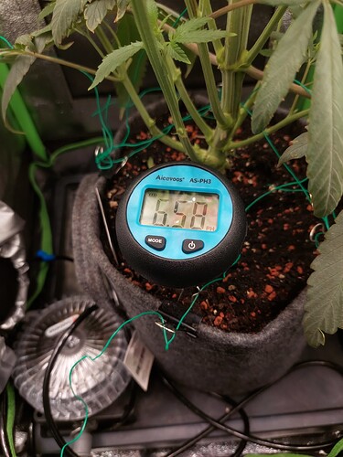 Growreport Bild 10