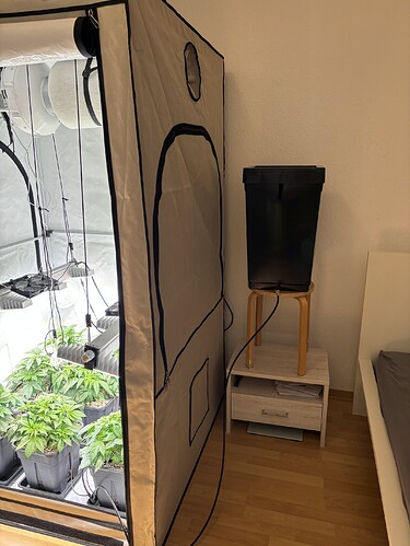 Growreport Bild 14