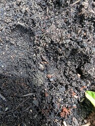 PXL_20250530_102840202