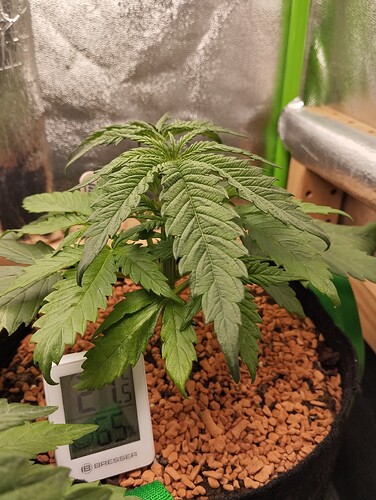 Growreport Bild 6