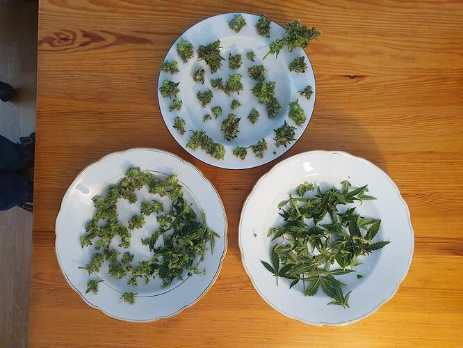Growreport Bild 18