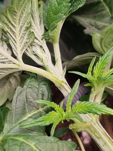 Growreport Bild 11
