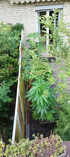 Growreport Bild 22