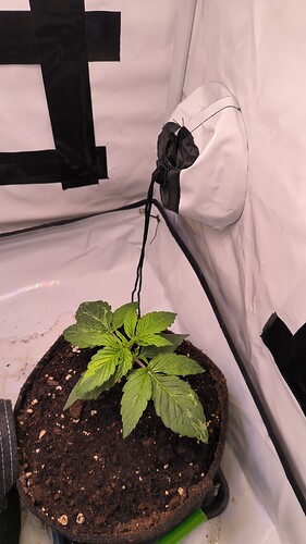 Growreport Bild 17