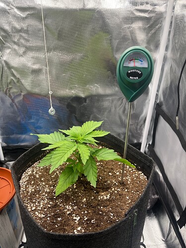 Growreport Bild 10
