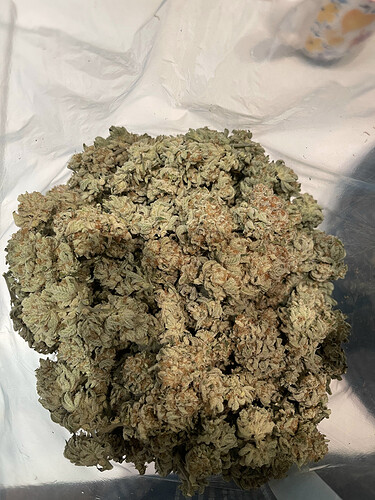 Growreport Bild 18