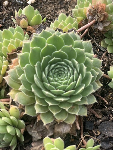 Growreport Bild 17
