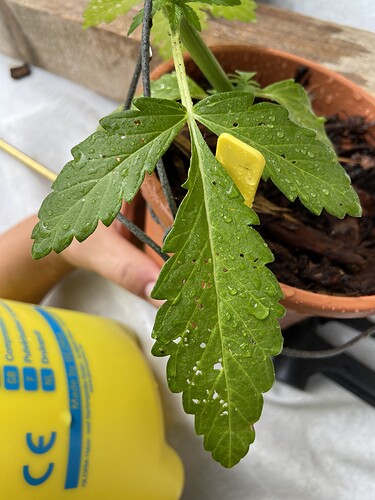 Growreport Bild 14