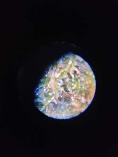 Growreport Bild 26