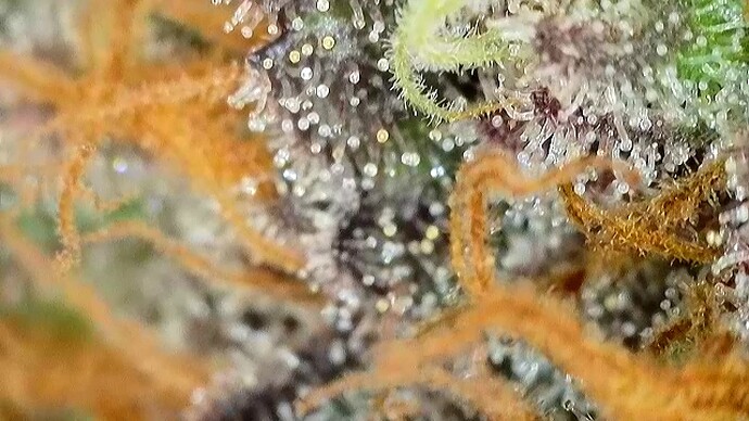 2025-06-15-09-37-01-374