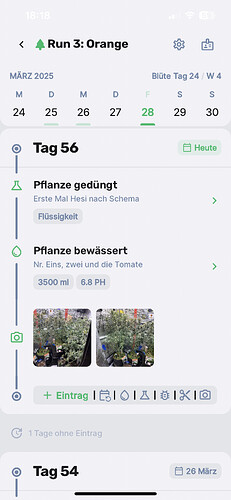 Growreport Bild 15