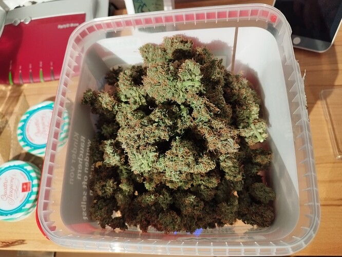 Ein durchsichtiger Plastikbehälter, gefüllt mit getrockneten Cannabis-Buds.