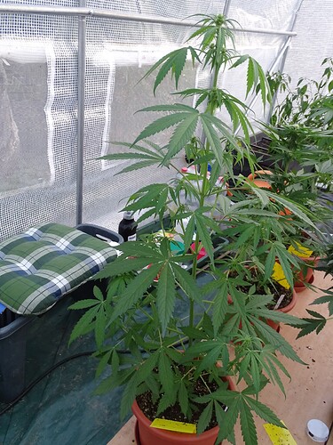 Growreport Bild 10