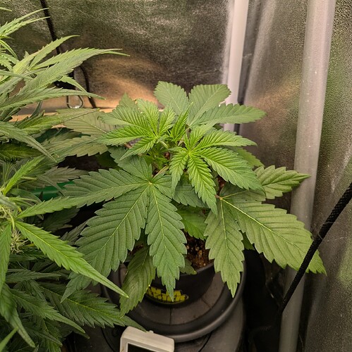 Growreport Bild 20