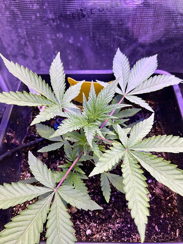 Growreport Bild 18