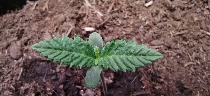 Growreport Bild 9