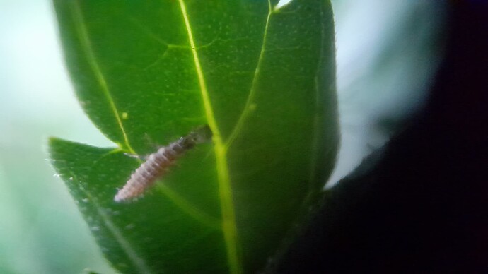Growreport Bild 59
