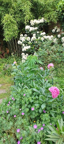 IMG_20240526_195354