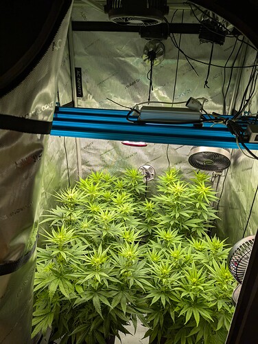 Growreport Bild 1