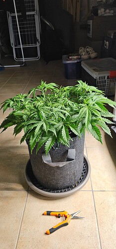 Growreport Bild 12