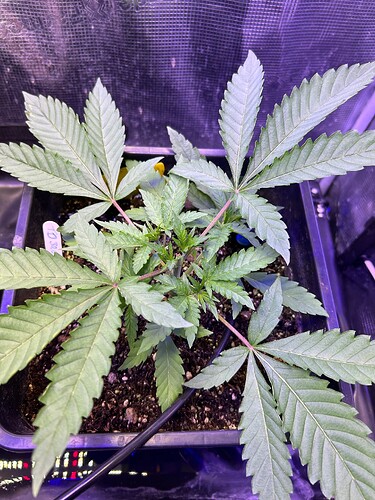 Growreport Bild 20