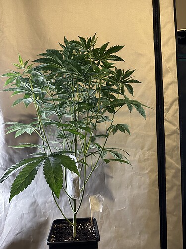Growreport Bild 13