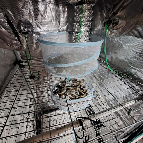 Growreport Bild 25