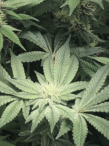 Growreport Bild 11