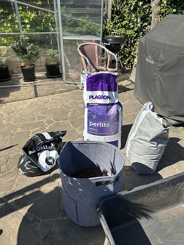 Growreport Bild 38