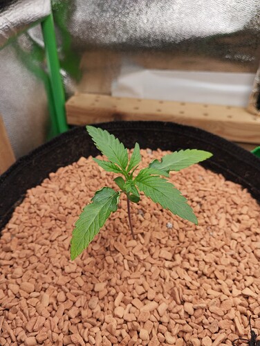 Growreport Bild 16