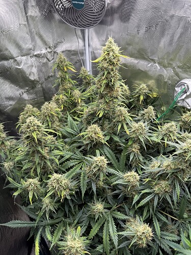 Growreport Bild 11