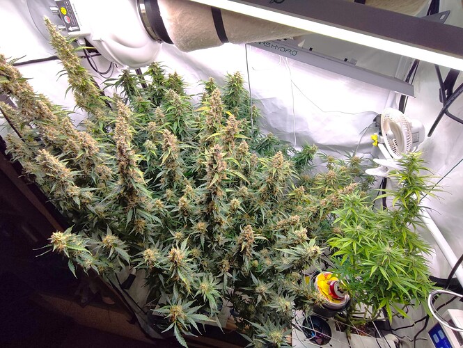 Growreport Bild 21