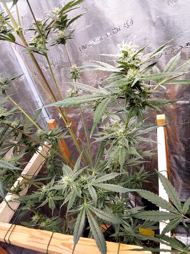 Growreport Bild 16