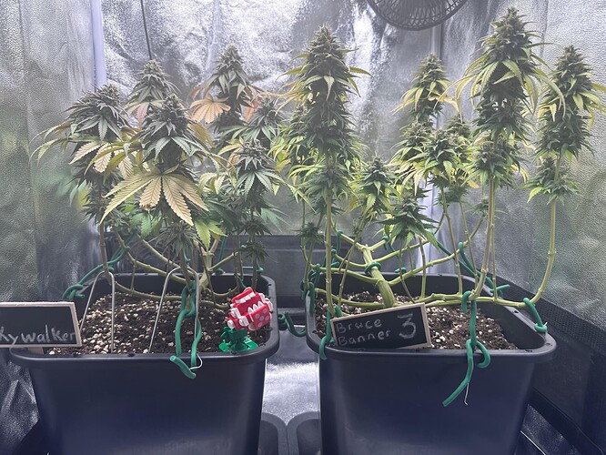Growreport Bild 21