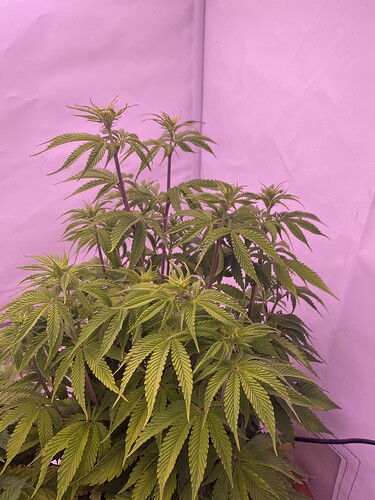 Growreport Bild 5