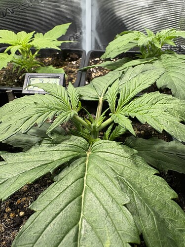 Growreport Bild 10