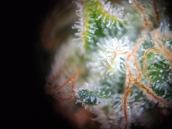 Growreport Bild 20