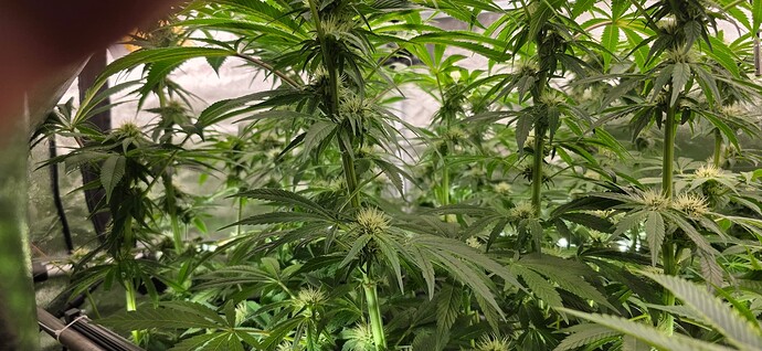 Growreport Bild 24