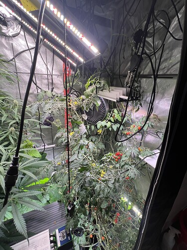 Growreport Bild 10