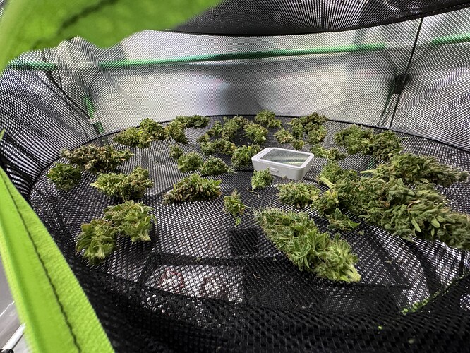 Growreport Bild 4