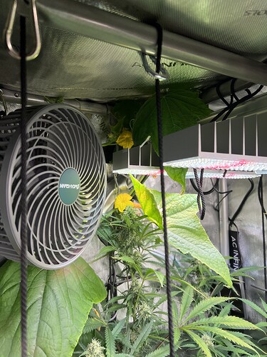 Growreport Bild 16