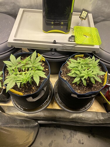 Growreport Bild 43