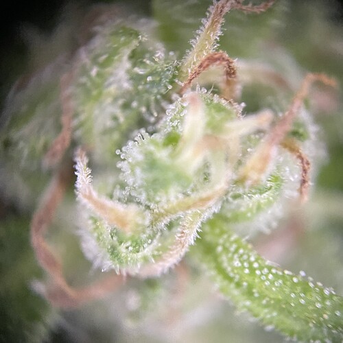 Growreport Bild 18