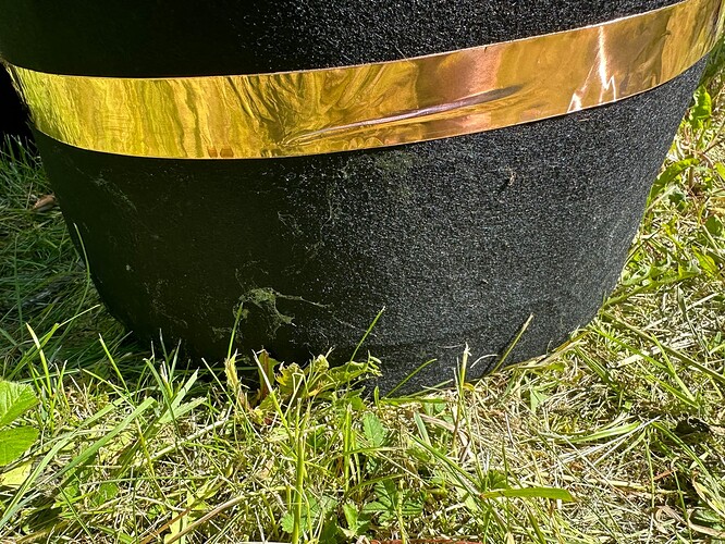 Growreport Bild 6