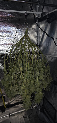 Growreport Bild 47