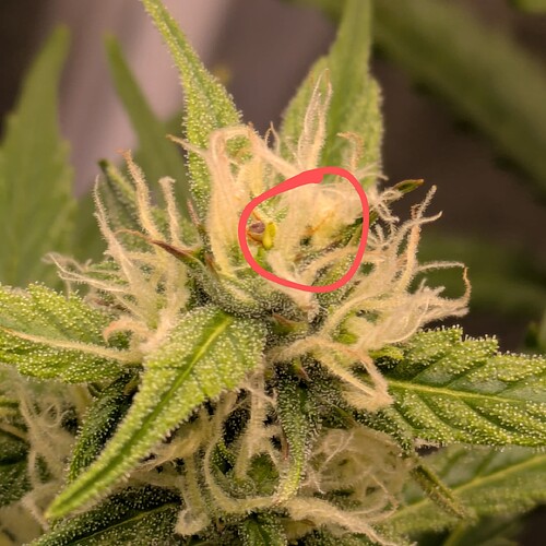 Growreport Bild 6